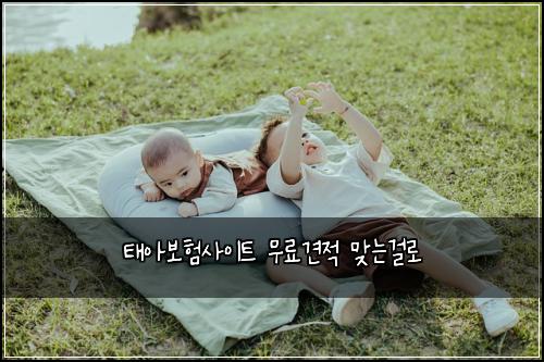 태아보험사이트 무료견적 맞는걸로