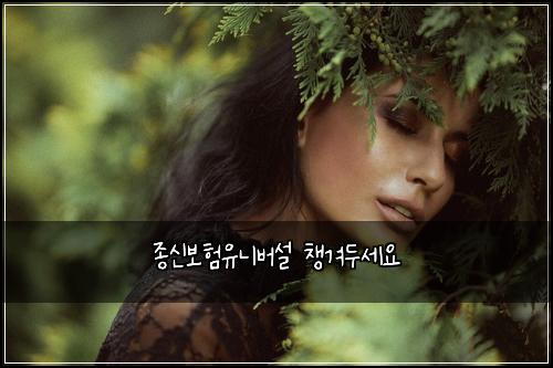 종신보험유니버설 챙겨두세요