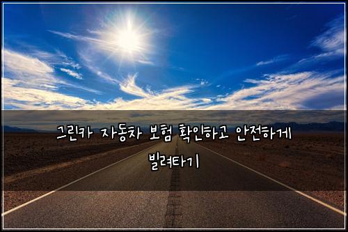 그린카 자동차 보험 확인하고 안전하게 빌려타기