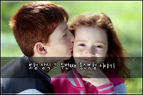 보험 상식 그 두번째 종신보험 이야기