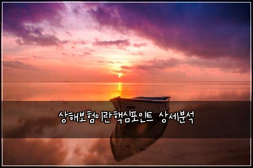 상해보험이란핵심포인트 상세분석