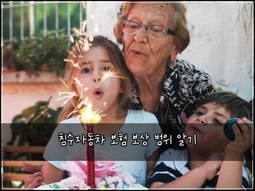 침수자동차 보험 보상 범위 알기