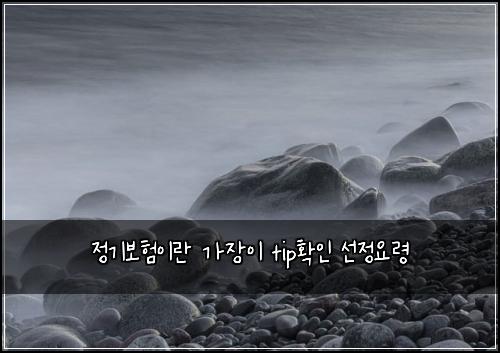 정기보험이란 가장이 tip확인 선정요령