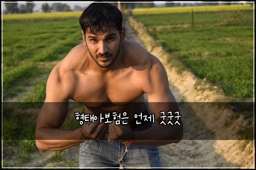 형태아보험은 언제 굿굿굿