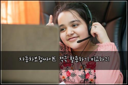 ์๋์ฐจ๋ณดํ์ธ์ดํธ ์ ๊ทน ํ์ฉํ๊ธฐ ๋น๊ตํ๊ธ