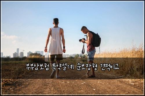 부부암보험 특약설계  순보장형 견적비교