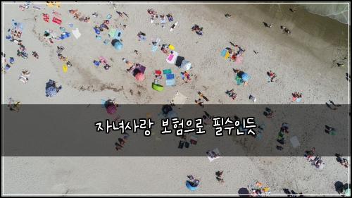 자녀사랑 보험으로 필수인듯