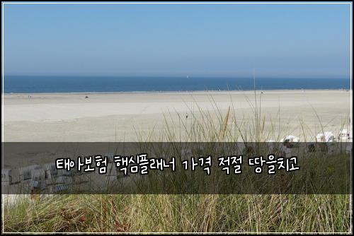 태아보험 핵심플래너  가격 적절 땅을치고