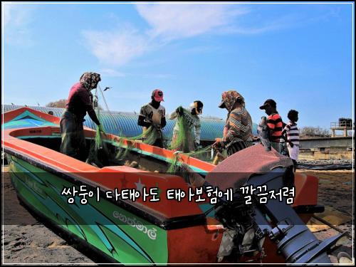 쌍둥이 다태아도 태아보험에 깔끔저렴