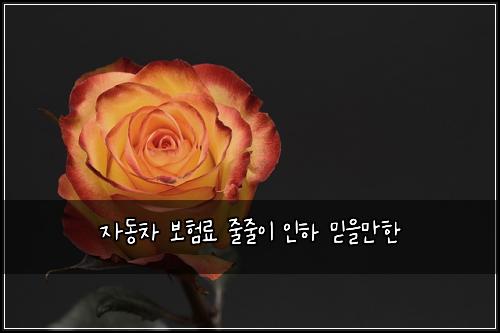 자동차 보험료 줄줄이 인하 믿을만한
