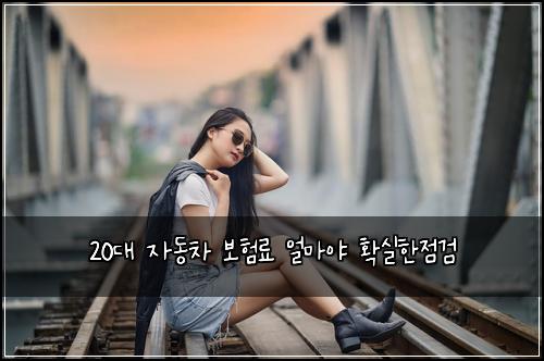 20대 자동차 보험료 얼마야 확실한점검