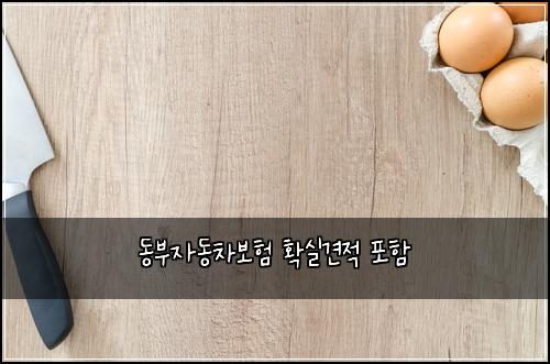 동부자동차보험 확실견적  포함