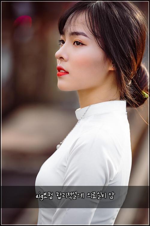 aig보험 합리적설계  의료실비 암