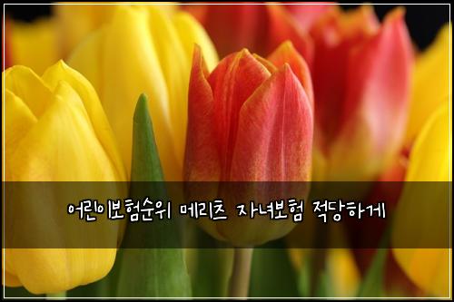 어린이보험순위 메리츠 자녀보험 적당하게