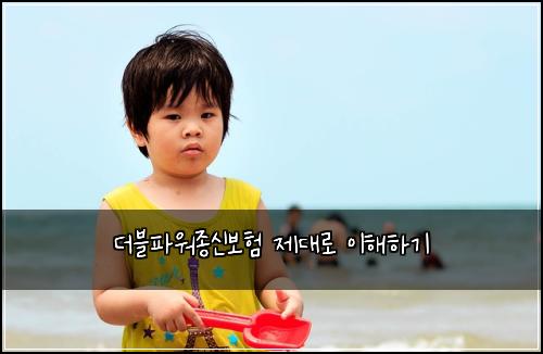 더블파워종신보험 제대로 이해하기