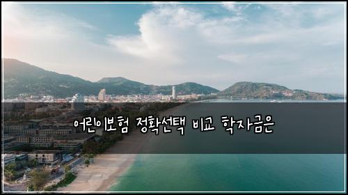 어린이보험 정확선택  비교 학자금은