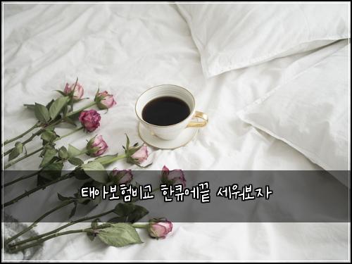 태아보험비교 한큐에끝 세워보자