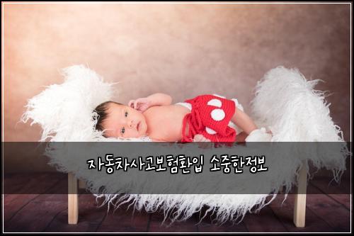 자동차사고보험환입 소중한정보