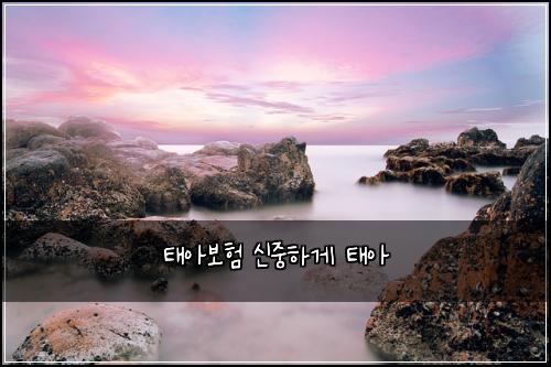 태아보험 신중하게  태아