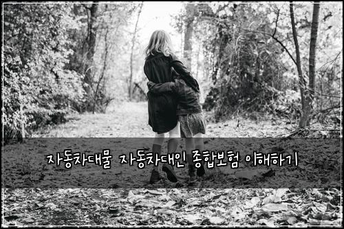 자동차대물 자동차대인 종합보험 이해하기