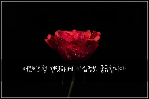 어린이보험 현명하게  가입정보 궁금합니다