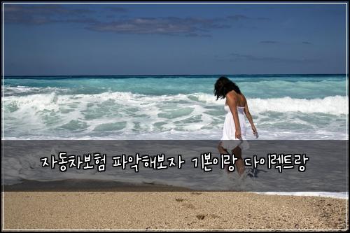 자동차보험 파악해보자  기본이랑 다이렉트랑