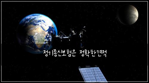 정기종신보험은 정확한견적