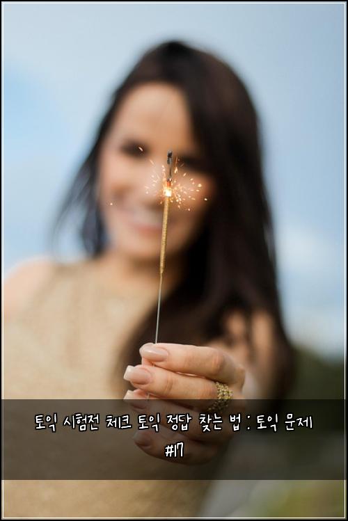 토익 시험전 체크 토익 정답 찾는 법 : 토익 문제 #17