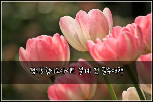 ์ ๊ธฐ๋ณดํ๋น๊ต์ฌ์ดํธ ์ค๊ณ ์ ํ์๋์ฑ
