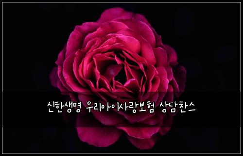신한생명 우리아이사랑보험 상담찬스 