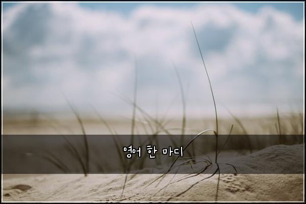 영어 한 마디