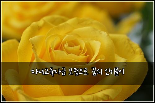자녀교육자금 보험으로 꿈의 인기몰이