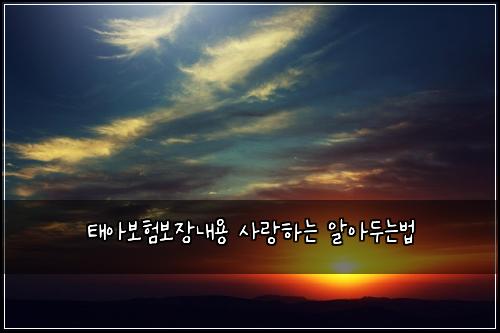 태아보험보장내용 사랑하는 알아두는법