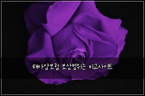 태아암보험 보상범위는  비교사이트