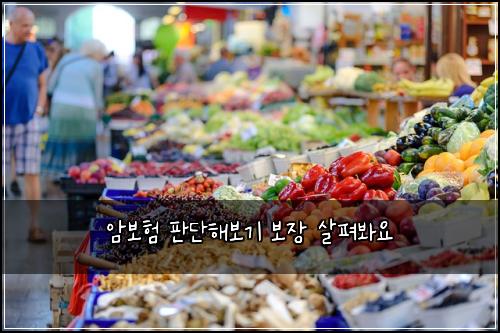 암보험 판단해보기  보장 살펴봐요