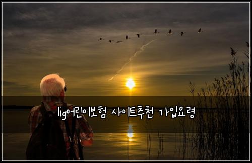 lig어린이보험 사이트추천  가입요령