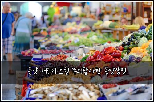 동양 어린이 보험 주의할사항  동양생명