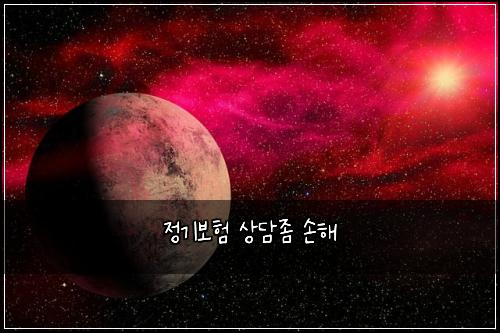 정기보험 상담좀  손해