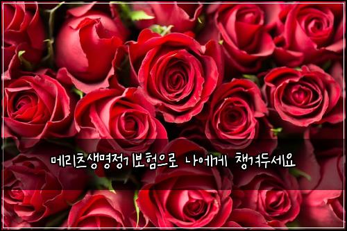 메리츠생명정기보험으로 나에게 챙겨두세요
