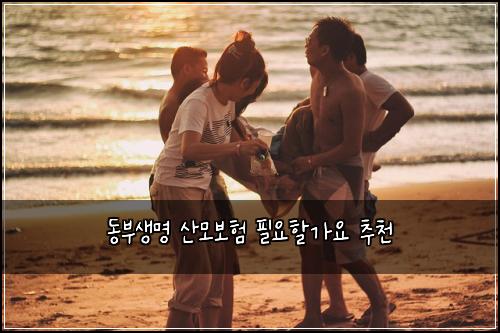 동부생명 산모보험 필요할가요  추천