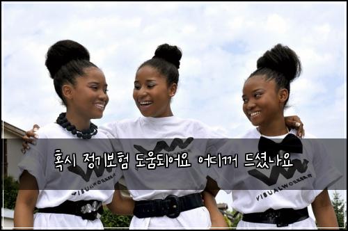 혹시 정기보험 도움되어요  어디꺼 드셨나요