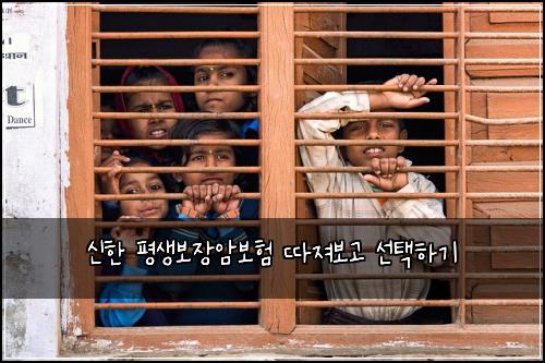 신한 평생보장암보험 따져보고 선택하기