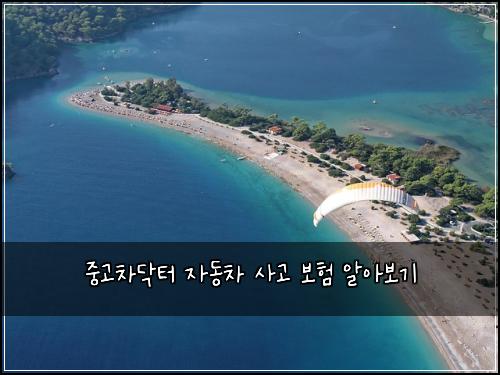 중고차닥터 자동차 사고 보험 알아보기