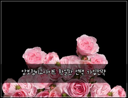 암보험비교사이트 확실한 선택 가입전략
