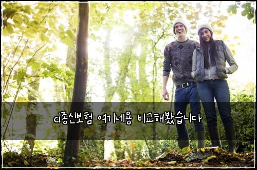 ci종신보험 여기네용  비교해봤습니다