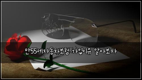 λ§55μΈμλ차보ν κ°μ
μ΄μ μμ보μ