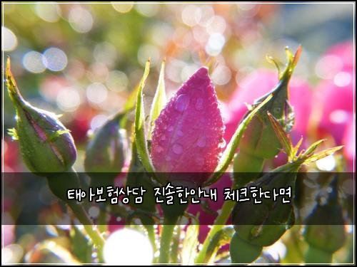 태아보험상담 진솔한안내 체크한다면