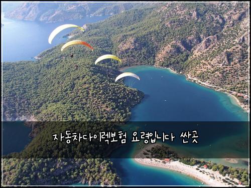 자동차다이렉보험 요령입니다  싼곳