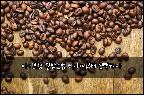 아기보험 잘받는법  태아때부터 선택하자