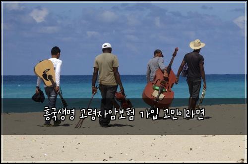 흥국생명 고령자암보험 가입 고민이라면